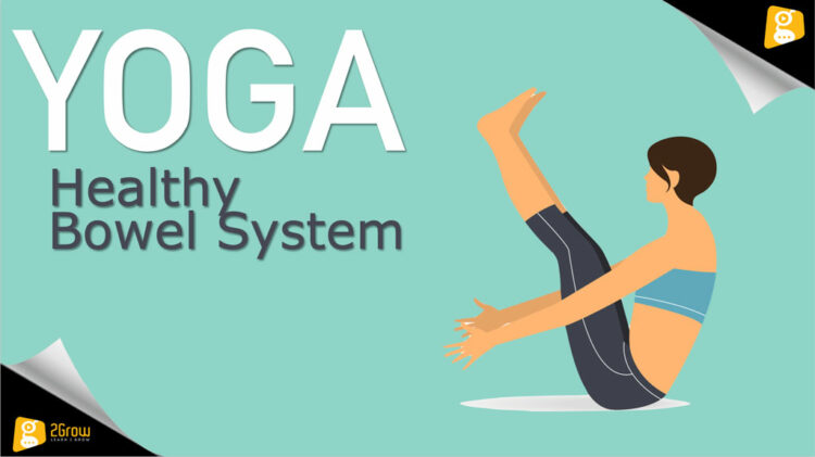 Healthy Bowel System